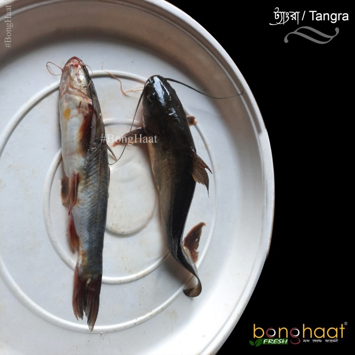 How to cook tangra fish in bengali style